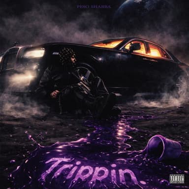 Trippin Cover